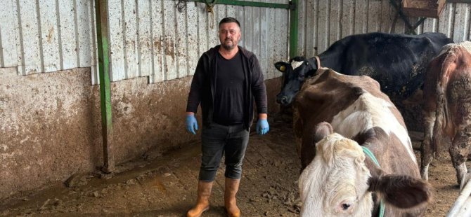 Bursa'da şap hastalığına bir hayvanını daha verdi