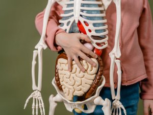 Dikkat! Organlarınızın yaşı, biyolojik yaşınızla aynı mı?