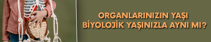 Dikkat! Organlarınızın yaşı, biyolojik yaşınızla aynı mı?