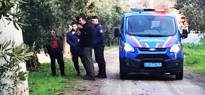 Bursa'da 500 kilo zeytini dalından çaldılar