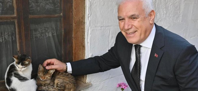 Bursa Büyükşehir Belediyesi patili dostların yanında