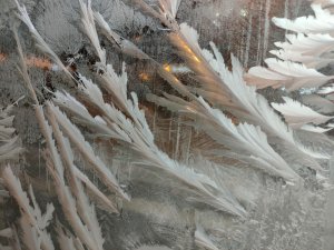 Ardahan’da Sibirya soğukları! Eksi 36’yı gördü