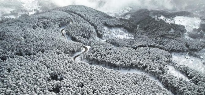 Uludağ'ın virajlı yolları havadan görüntülendi