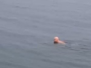 Bursa’da dondurucu soğukta deniz keyfi