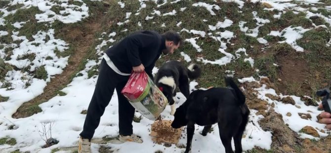 Uludağ'da aç kalan köpeklerin imdadına koştular