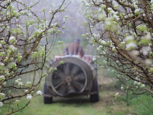 İşte Bursa'daki traktör sayısı!