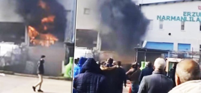 Bursa'da yangını film izler gibi izlediler