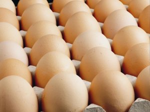 Kişi başına düşen yumurta üretimi 15 adet azaldı