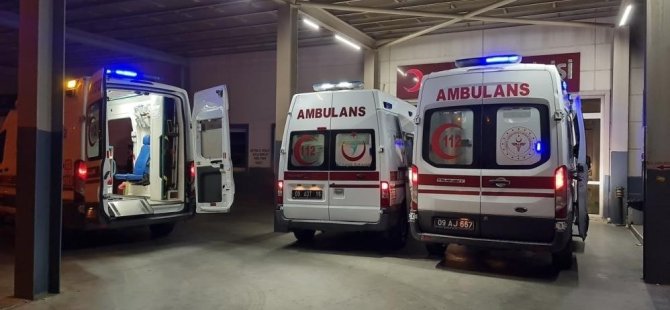 'İstanbul'da kuduz vakalarında patlama' iddialarına valilikten yanıt