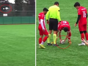 Eşi benzeri görülmemiş olay! Top çarpan martıyı kalp masajıyla hayata döndürdü