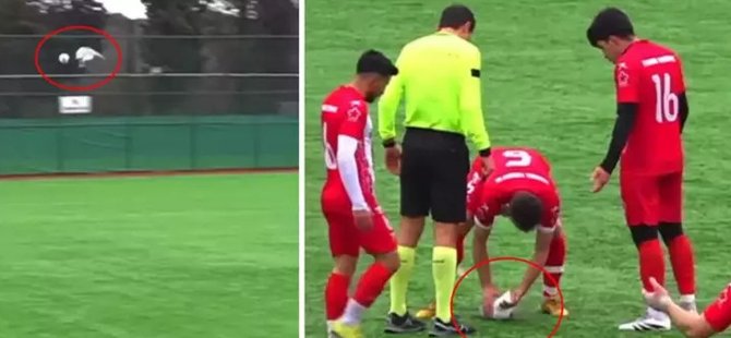 Eşi benzeri görülmemiş olay! Top çarpan martıyı kalp masajıyla hayata döndürdü