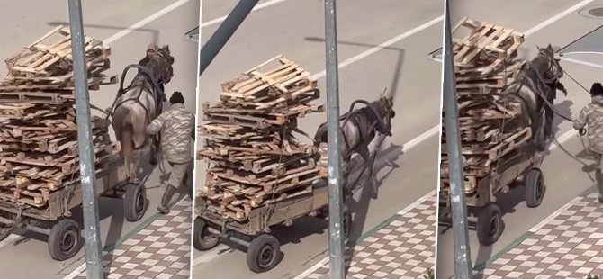Görüntüler Bursa’dan! Atın aşırı yükü...