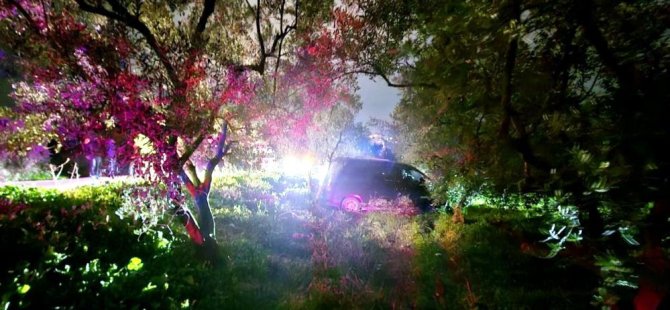 Bursa'da kazadan kaçtı, zeytinliğe daldı