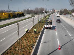 Bursa'da cadde ve bulvarlara estetik dokunuş