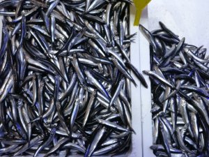 Savaş halindeki ülke ihracatta ilk sırayı aldı