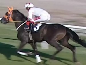 Kavurma yapılan yarış atının görüntüleri ortaya çıktı