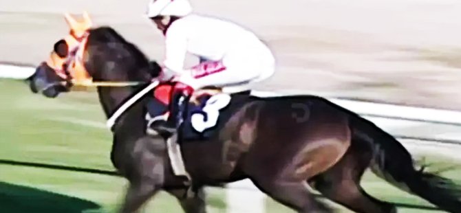 Kavurma yapılan yarış atının görüntüleri ortaya çıktı