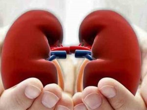 Böbrek sağlığını korumak için 8 altın kural