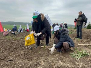 Bursa'da 2 yıl önce yanan 80 hektarlık alan ağaçlandırıldı