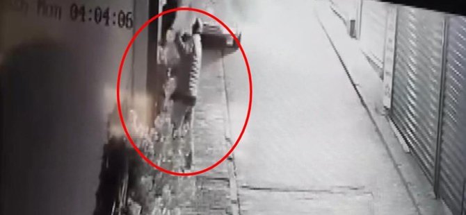 Bursa'da süs ağacını söküp kayıplara karıştı