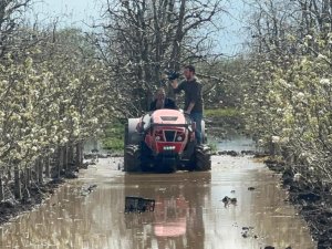 Bursa'da meyve bahçeleri su altında kaldı
