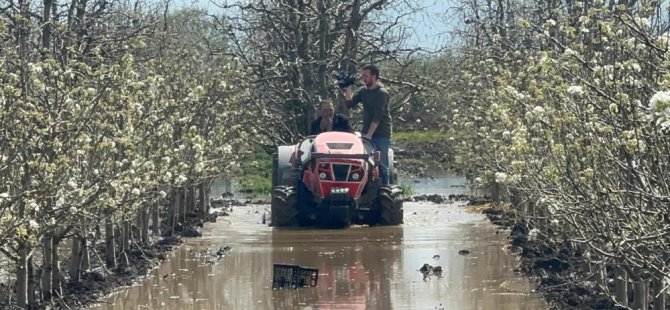 Bursa'da meyve bahçeleri su altında kaldı