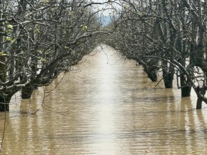 Bursa'nın dağı ovası suyla doldu