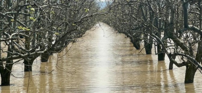 Bursa'nın dağı ovası suyla doldu