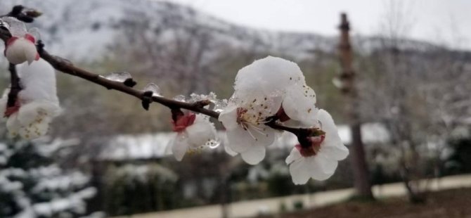 Bursa'nın 4 ilçesine zirai don ve yağış uyarısı