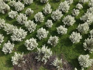 Bursa'dan kartpostallık görüntüler