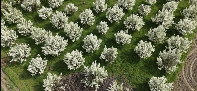 Bursa'dan kartpostallık görüntüler