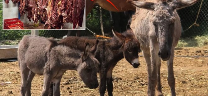 Vatandaşa at ve eşek eti yedirdiler! Bakanlık tek tek ifşa etti