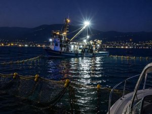 Bursa'da sardalya avcılığı başladı... Amatör teknelere önemli uyarı!