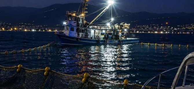 Bursa'da sardalya avcılığı başladı... Amatör teknelere önemli uyarı!