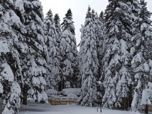Uludağ’da kış geri dönüyor! Mayısta kar sürprizi yaşanacak