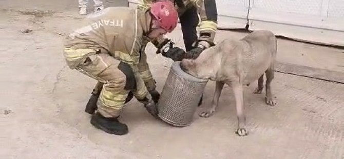Bursa'da hava filtresine sıkışan köpek kurtarıldı