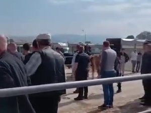 Bursa'da kurban pazarında kavga!