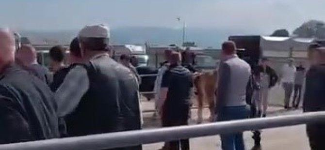 Bursa'da kurban pazarında kavga!