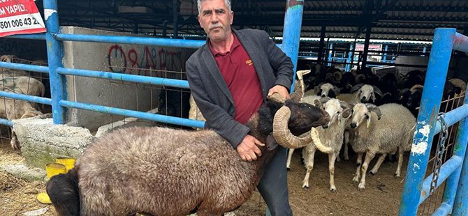 Bursa'daki kurbanlık pazarında hareketlilik başladı