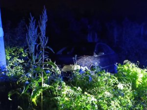 Tarlaya uçtuğu otomobilini bırakıp gitti