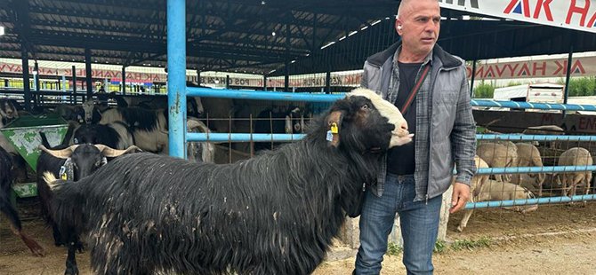 Bursa'da kurban pazarının şampiyon keçisi 47 bin liradan satıldı