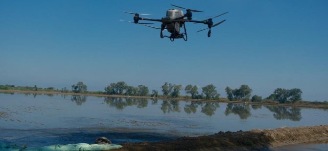 Bursa'da dron ile çeltik ekimi