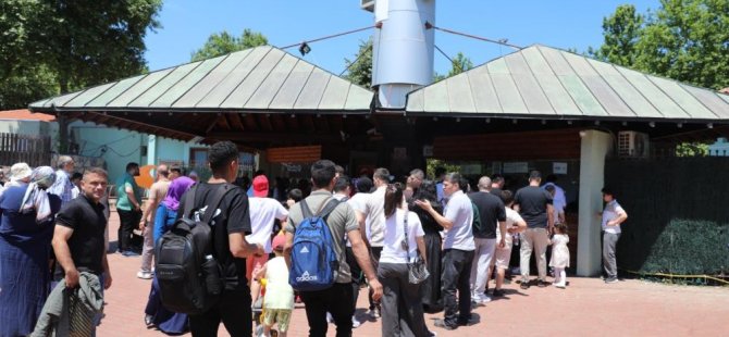 Bursa Hayvanat Bahçesi'ne ziyaretçi akını