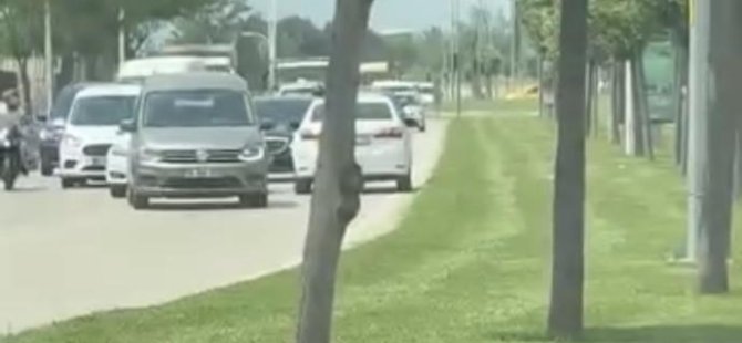 Bursa'da ters şeride girip, trafiği böyle kilitledi