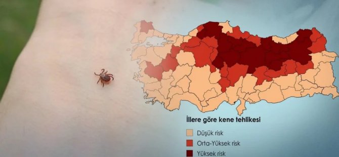 Türkiye'de kene alarmı! Temmuz-Ağustos için kritik uyarı...