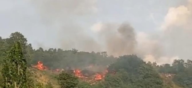 Bursa'da makilik alanda yangın