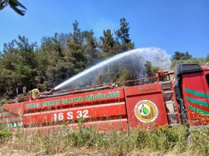 Bursa’da ormanlık alanda korkutan yangın!