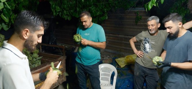 Bursa'da ailecek enginar soyuyorlar! Sadece 10 saniye...