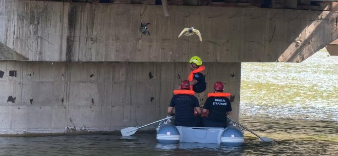 Bursa'da ipe takılan güvercin için seferber oldular!