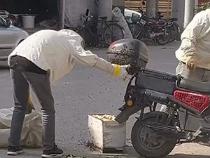 Bursa'da arılar motosiklette oğul verdi